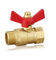 Durable professional competitive price brass gate valve with drainer brass 1/2 Inch ball valve